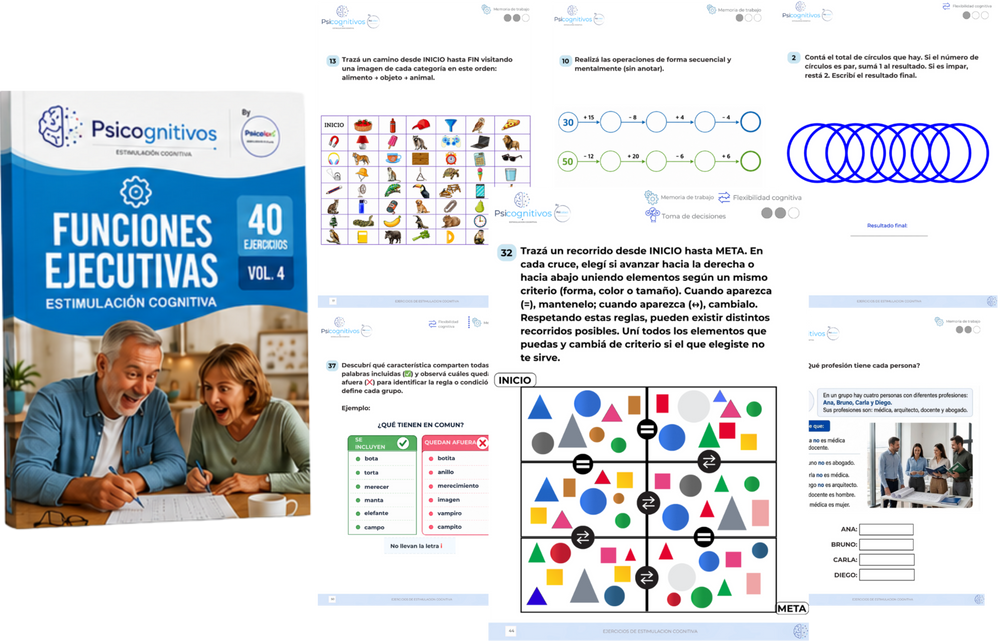 Vol 4: Funciones ejecutivas