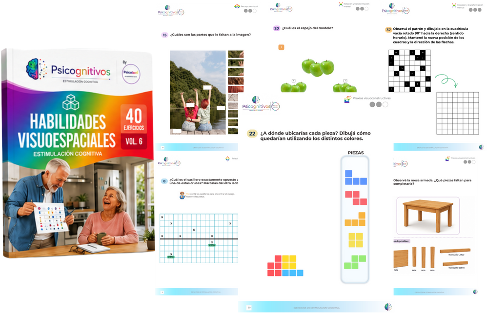 Vol 6: Habilidades Visuoespaciales